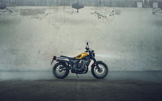 Neufahrzeug Honda CL500 - Bild 8