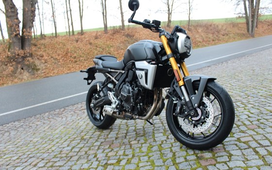 Neufahrzeug Suzuki GSX-8T - Bild 14