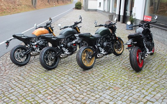 Neufahrzeug Suzuki GSX-8T - Bild 4