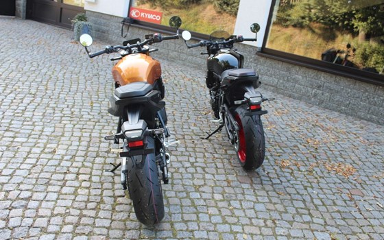Neufahrzeug Suzuki GSX-8T - Bild 5