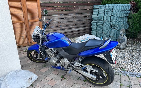 Gebrauchtmotorrad Honda CB 600 F Hornet - Bild 3