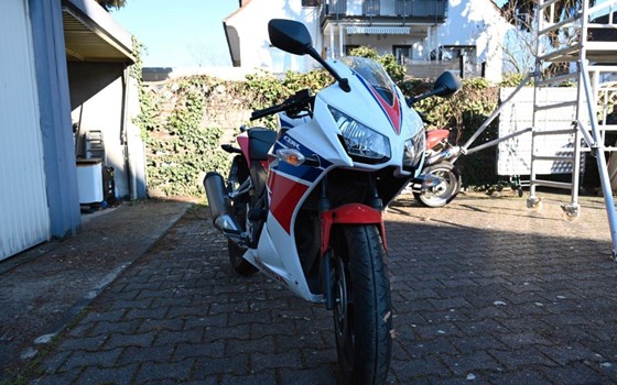 Gebrauchtmotorrad Honda CBR 300 R - Bild 2