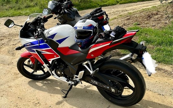 Gebrauchtmotorrad Honda CBR 300 R - Bild 6