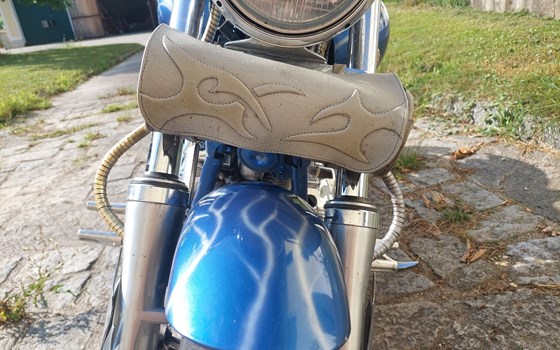 Gebrauchtmotorrad Yamaha XVS 1100 Drag Star - Bild 12 Gebrauchtmotorrad Yamaha XVS 1100 Drag Star - Bild 12