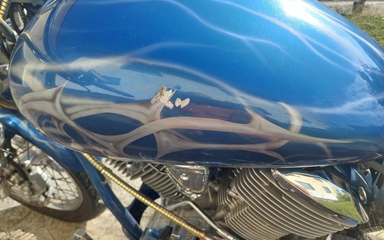 Gebrauchtmotorrad Yamaha XVS 1100 Drag Star - Bild 9 Gebrauchtmotorrad Yamaha XVS 1100 Drag Star - Bild 9