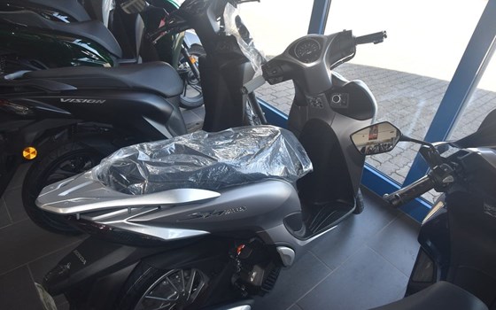 Neufahrzeug Honda SH125 - Bild 1