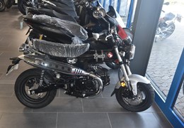 Neumotorrad Honda SH125i