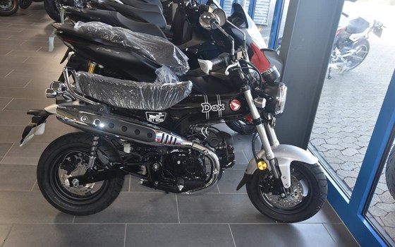 Neufahrzeug Honda SH125i - Bild 1