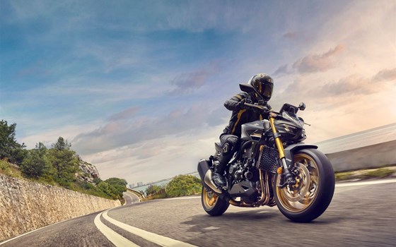 Gebrauchtmotorrad Honda CB1000 Hornet SP - Bild 17