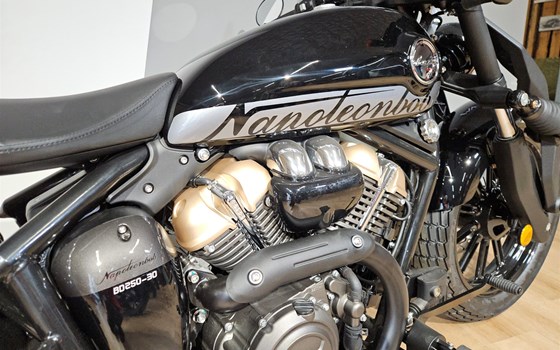 Neufahrzeug Benda Napoleonbob 250 - Bild 5