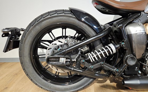 Neufahrzeug Benda Napoleonbob 250 - Bild 3