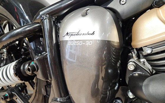 Neufahrzeug Benda Napoleonbob 250 - Bild 4