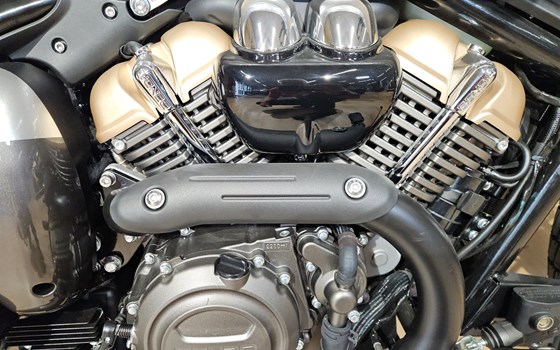 Neufahrzeug Benda Napoleonbob 250 - Bild 5