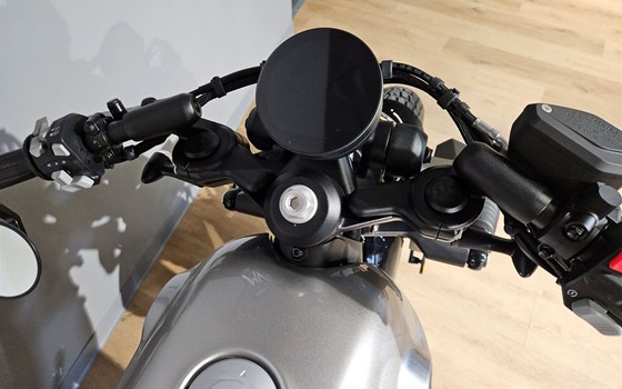 Neufahrzeug Benda Napoleonbob 250 - Bild 8