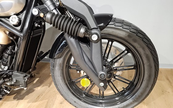 Neufahrzeug Benda Napoleonbob 250 - Bild 9