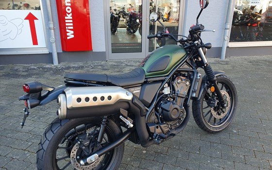 Neufahrzeug Honda CL500 - Bild 6