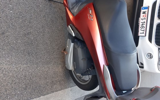 Gebrauchtmotorrad Honda SH125i - Bild 3 Gebrauchtmotorrad Honda SH125i - Bild 3