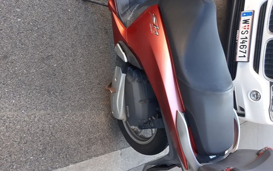 Gebrauchtmotorrad Honda SH125i - Bild 3