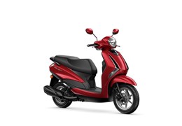 Gebrauchte Yamaha D'elight