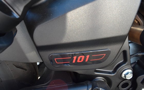 Neufahrzeug Indian 101 Scout - Bild 9