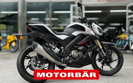 Neufahrzeug QJ Motor SRK 125 S - Bild 3 Neufahrzeug QJ Motor SRK 125 S - Bild 3