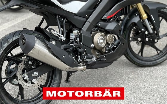 Neufahrzeug QJ Motor SRK 125 S - Bild 6 Neufahrzeug QJ Motor SRK 125 S - Bild 6