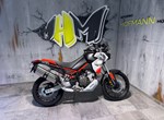 Angebot Aprilia Tuareg 660