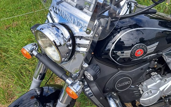 Gebrauchtmotorrad United Motors UM Renegade Commando Classic 125 - Bild 2 Gebrauchtmotorrad United Motors UM Renegade Commando Classic 125 - Bild 2