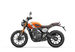 Neumotorrad Triumph Scrambler 400 X