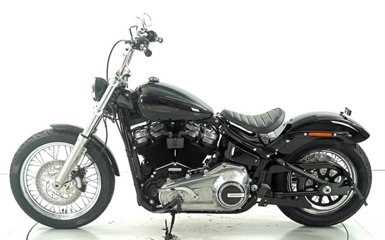 Motorrad Occasion Harley-Davidson Softail Standard FXST - Bild 5