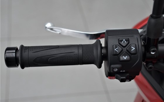 Neufahrzeug Triumph Tiger Sport 1050 - Bild 17