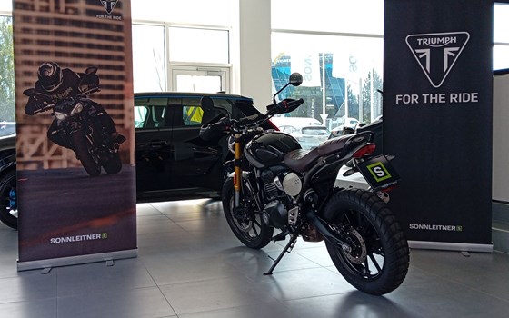 Gebrauchtmotorrad Triumph Scrambler 400 X - Bild 3