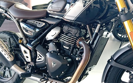 Gebrauchtmotorrad Triumph Scrambler 400 X - Bild 7 Gebrauchtmotorrad Triumph Scrambler 400 X - Bild 7