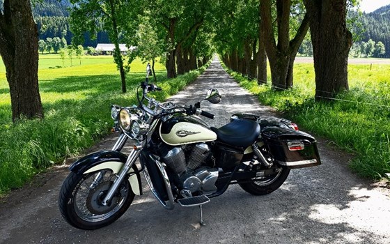 Gebrauchtmotorrad Honda VT750ACE Shadow - Bild 6 Gebrauchtmotorrad Honda VT750ACE Shadow - Bild 6
