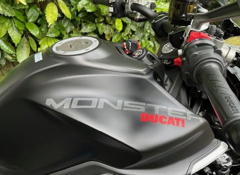 Motorrad Occasion Ducati Monster 30° Anniversario - Bild 6