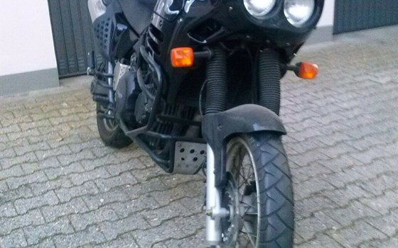 Gebrauchtmotorrad Triumph Tiger 900 - Bild 2