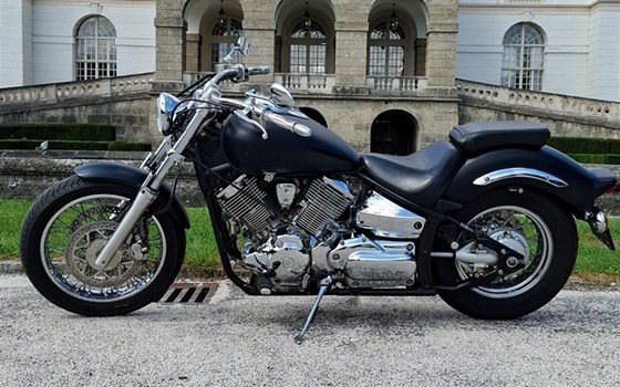 Gebrauchtmotorrad Yamaha XVS 1100 Drag Star - Bild 2 Gebrauchtmotorrad Yamaha XVS 1100 Drag Star - Bild 2