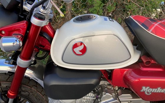 Gebrauchtmotorrad Honda Monkey 125 - Bild 5 Gebrauchtmotorrad Honda Monkey 125 - Bild 5