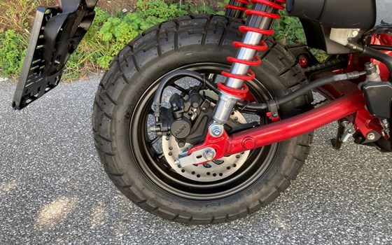 Gebrauchtmotorrad Honda Monkey 125 - Bild 9 Gebrauchtmotorrad Honda Monkey 125 - Bild 9
