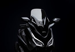 Neumotorrad Honda Forza 125