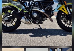 Gebrauchte Ducati Scrambler Icon Gebrauchte Ducati Scrambler Icon