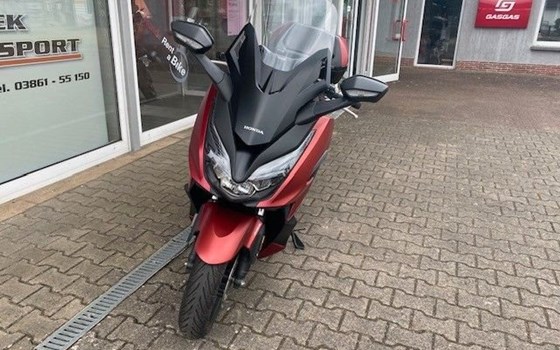 Gebrauchtmotorrad Honda Forza 125 - Bild 4