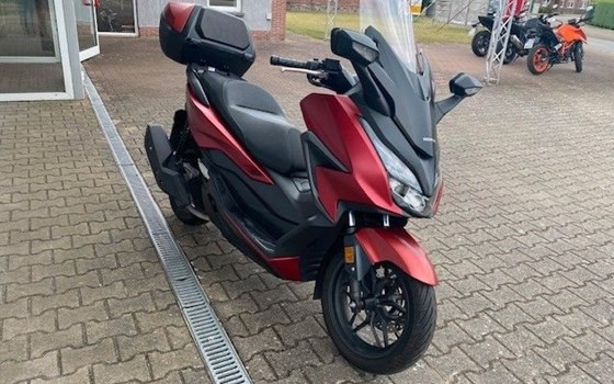 Gebrauchtmotorrad Honda Forza 125 - Bild 5