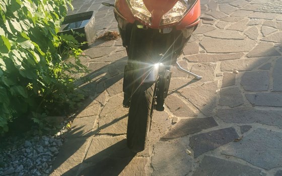Gebrauchtmotorrad Triumph Tiger 1050 - Bild 5 Gebrauchtmotorrad Triumph Tiger 1050 - Bild 5