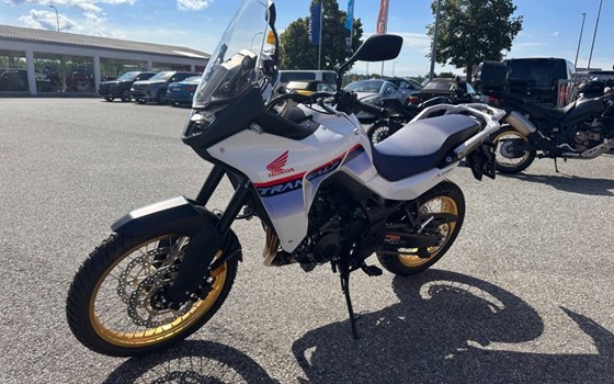 Neufahrzeug Honda XL750 Transalp - Bild 2