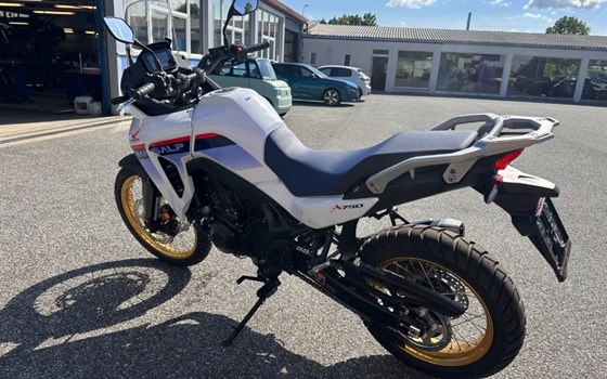 Neufahrzeug Honda XL750 Transalp - Bild 3