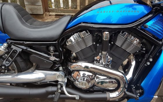 Gebrauchtmotorrad Harley-Davidson V-Rod Night Rod VRSCD - Bild 2