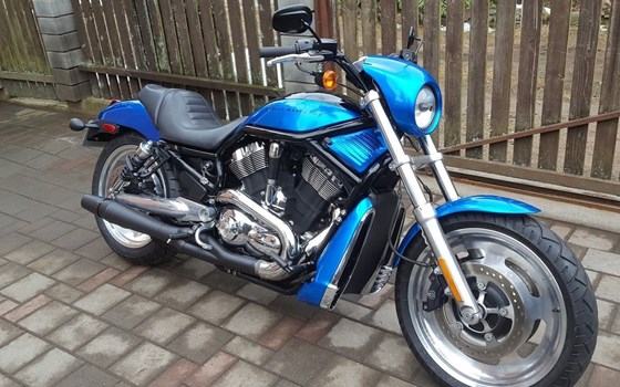 Gebrauchtmotorrad Harley-Davidson V-Rod Night Rod VRSCD - Bild 3