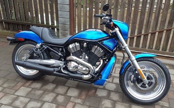 Gebrauchtmotorrad Harley-Davidson V-Rod Night Rod VRSCD - Bild 5