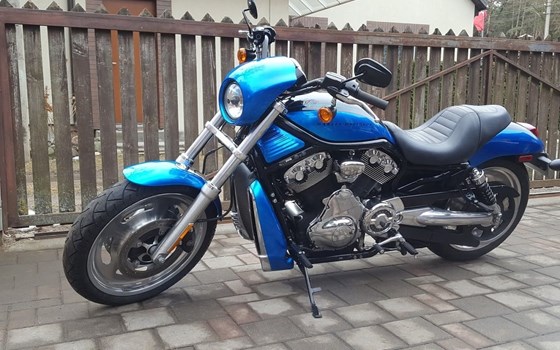 Gebrauchtmotorrad Harley-Davidson V-Rod Night Rod VRSCD - Bild 6